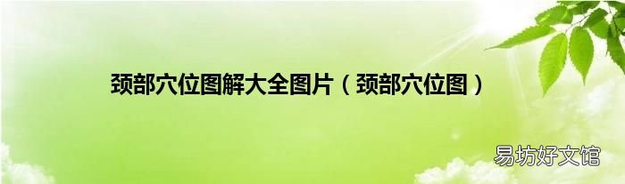 颈部穴位图 颈部穴位图解大全图片