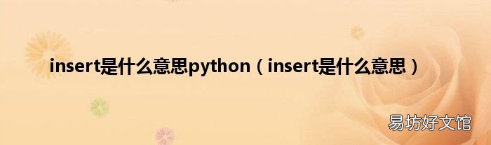 insert是什么意思 insert是什么意思python