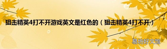 狙击精英4打不开 狙击精英4打不开游戏英文是红色的