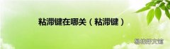 粘滞键 粘滞键在哪关