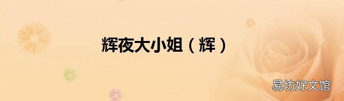 辉 辉夜大小姐