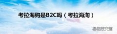 考拉海淘 考拉海购是B2C吗