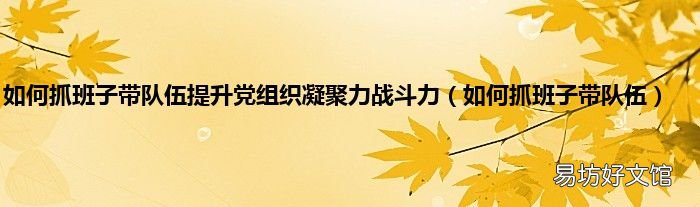 如何抓班子带队伍 如何抓班子带队伍提升党组织凝聚力战斗力