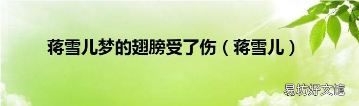 蒋雪儿 蒋雪儿梦的翅膀受了伤