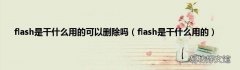 flash是干什么用的 flash是干什么用的可以删除吗