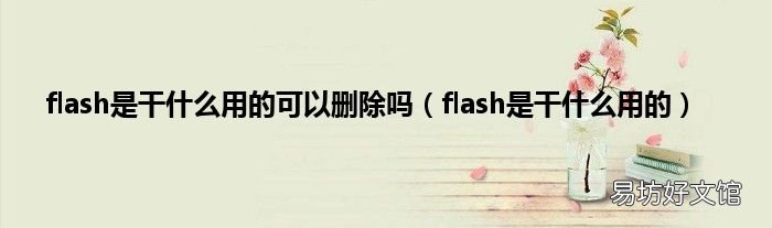 flash是干什么用的 flash是干什么用的可以删除吗