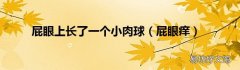 屁眼痒 屁眼上长了一个小肉球