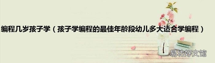 孩子学编程的最佳年龄段幼儿多大适合学编程 编程几岁孩子学