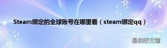 steam绑定qq Steam绑定的全球账号在哪里看