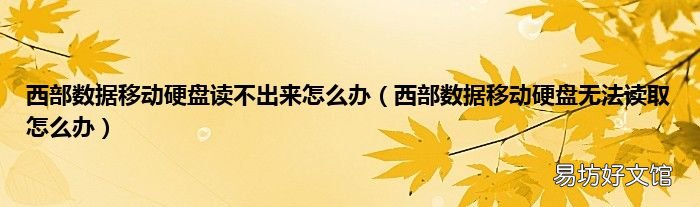 西部数据移动硬盘无法读取怎么办 西部数据移动硬盘读不出来怎么办