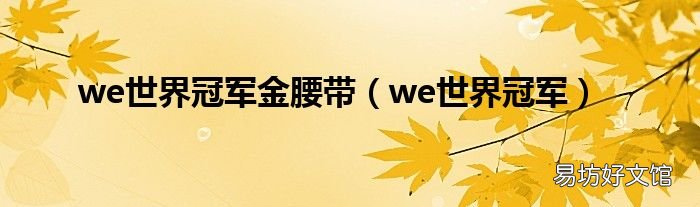 we世界冠军 we世界冠军金腰带