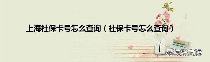 社保卡号怎么查询 上海社保卡号怎么查询
