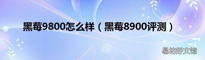 黑莓8900评测 黑莓9800怎么样