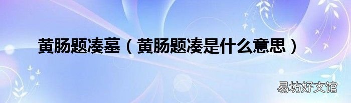 黄肠题凑是什么意思 黄肠题凑墓