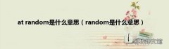 random是什么意思 at random是什么意思