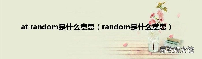 random是什么意思 at random是什么意思
