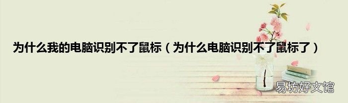 为什么电脑识别不了鼠标了 为什么我的电脑识别不了鼠标