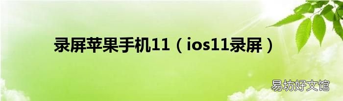 ios11录屏 录屏苹果手机11