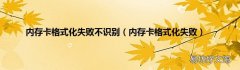 内存卡格式化失败 内存卡格式化失败不识别