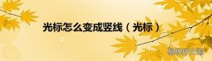 光标 光标怎么变成竖线
