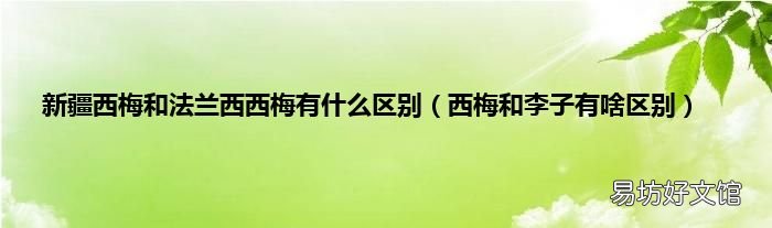 西梅和李子有啥区别 新疆西梅和法兰西西梅有什么区别