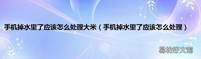手机掉水里了应该怎么处理 手机掉水里了应该怎么处理大米