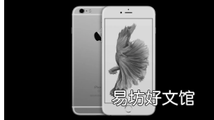 苹果让iPhone 6 Plus过时不再支持十年前的设备