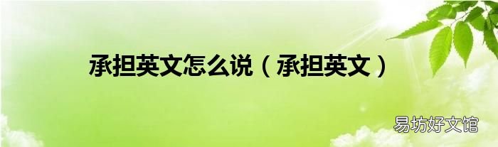 承担英文 承担英文怎么说