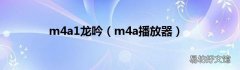 m4a播放器 m4a1龙吟