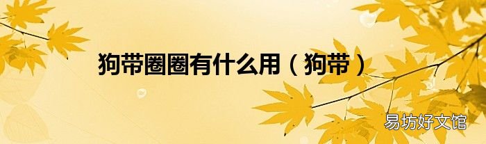 狗带 狗带圈圈有什么用