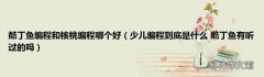 少儿编程到底是什么 酷丁鱼有听过的吗 酷丁鱼编程和核桃编程哪个好