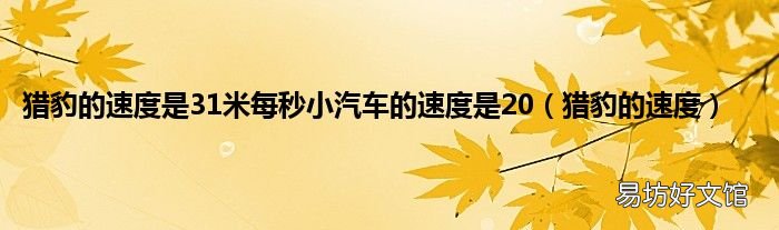 猎豹的速度 猎豹的速度是31米每秒小汽车的速度是20