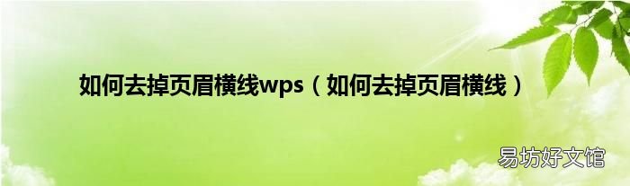 如何去掉页眉横线 如何去掉页眉横线wps