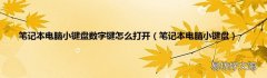 笔记本电脑小键盘 笔记本电脑小键盘数字键怎么打开