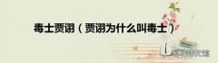 贾诩为什么叫毒士 毒士贾诩