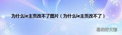为什么ie主页改不了 为什么ie主页改不了图片