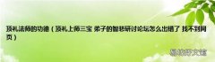 顶礼上师三宝 弟子的智悲研讨论坛怎么出错了 找不到网页 顶礼法师的功德