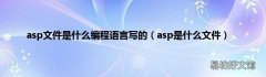 asp是什么文件 asp文件是什么编程语言写的