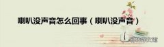 喇叭没声音 喇叭没声音怎么回事