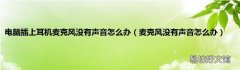 麦克风没有声音怎么办 电脑插上耳机麦克风没有声音怎么办