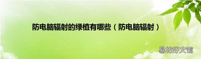 防电脑辐射 防电脑辐射的绿植有哪些
