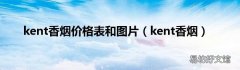 kent香烟 kent香烟价格表和图片