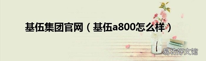 基伍a800怎么样 基伍集团官网