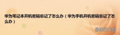 华为手机开机密码忘记了怎么办 华为笔记本开机密码忘记了怎么办