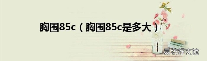 胸围85c是多大 胸围85c