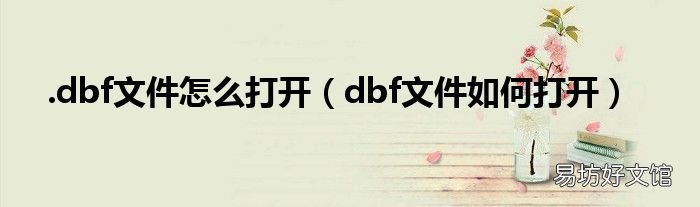 dbf文件如何打开 .dbf文件怎么打开