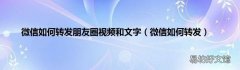 微信如何转发 微信如何转发朋友圈视频和文字