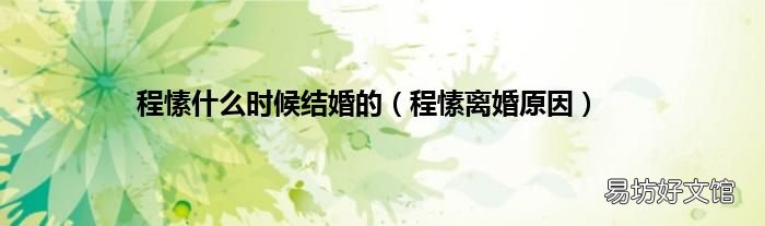 程愫离婚原因 程愫什么时候结婚的