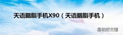 天语胭脂手机 天语胭脂手机X90