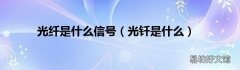 光钎是什么 光纤是什么信号